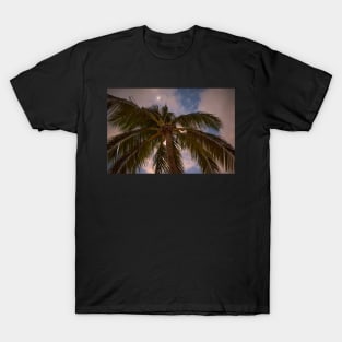 Moon over Palm Tree Saint Lucia Caribbean T-Shirt